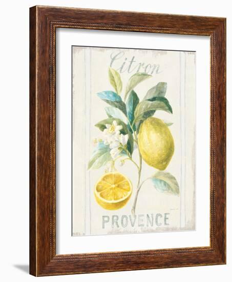 Floursack Lemon IV-Danhui Nai-Framed Art Print