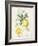 Floursack Lemon IV-Danhui Nai-Framed Art Print