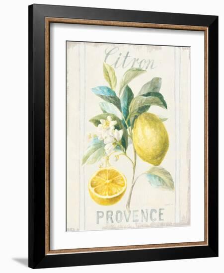 Floursack Lemon IV-Danhui Nai-Framed Art Print