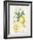 Floursack Lemon IV-Danhui Nai-Framed Art Print