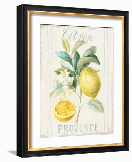 Floursack Lemon IV-Danhui Nai-Framed Art Print