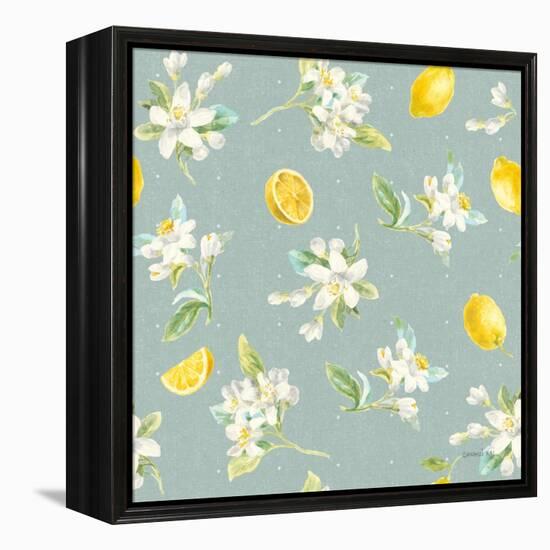 Floursack Lemon Pattern III-Danhui Nai-Framed Stretched Canvas