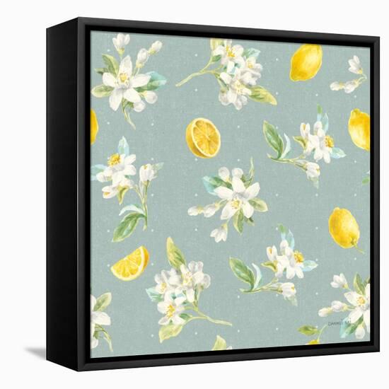 Floursack Lemon Pattern III-Danhui Nai-Framed Stretched Canvas