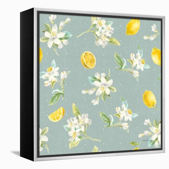 Floursack Lemon Pattern III-Danhui Nai-Framed Stretched Canvas