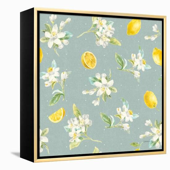 Floursack Lemon Pattern III-Danhui Nai-Framed Stretched Canvas