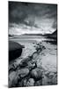 Flow to The Sea-Andreas Stridsberg-Mounted Giclee Print