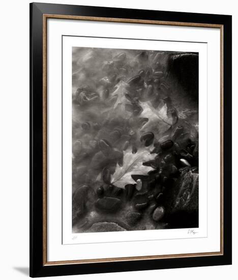 Flow-Andrew Geiger-Framed Collectable Print