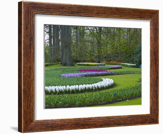 Flowebed Wiht Hyacinths, Keukenhof Gardens, Lisse, Holland-Anna Miller-Framed Photographic Print