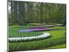 Flowebed Wiht Hyacinths, Keukenhof Gardens, Lisse, Holland-Anna Miller-Mounted Photographic Print