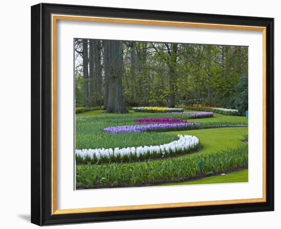 Flowebed Wiht Hyacinths, Keukenhof Gardens, Lisse, Holland-Anna Miller-Framed Photographic Print