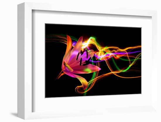 Flower a Lily & Night Neon Lights--Vladimir--Framed Photographic Print