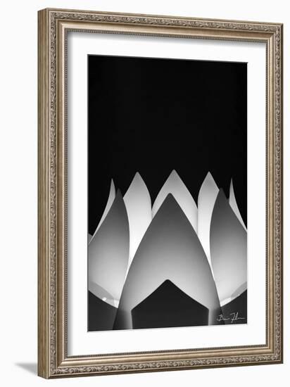 Flower Abstract-5fishcreative-Framed Giclee Print
