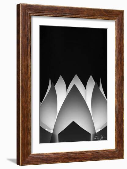 Flower Abstract-5fishcreative-Framed Giclee Print