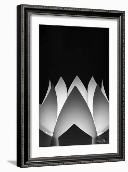 Flower Abstract-5fishcreative-Framed Giclee Print