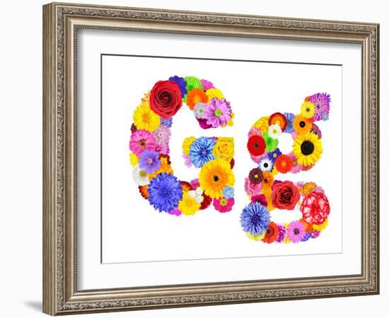 Flower Alphabet Isolated On White - Letter G-tr3gi-Framed Premium Giclee Print