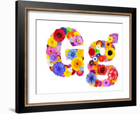 Flower Alphabet Isolated On White - Letter G-tr3gi-Framed Premium Giclee Print