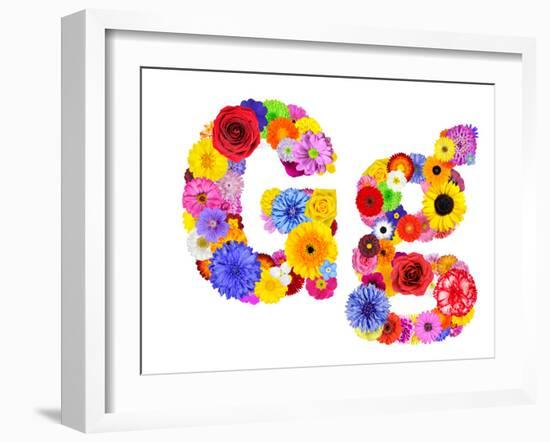 Flower Alphabet Isolated On White - Letter G-tr3gi-Framed Premium Giclee Print