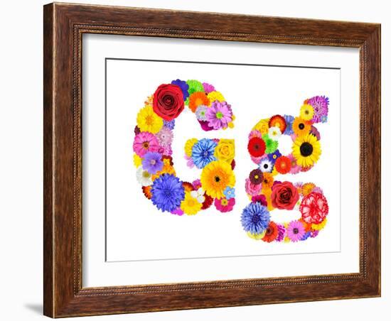 Flower Alphabet Isolated On White - Letter G-tr3gi-Framed Art Print