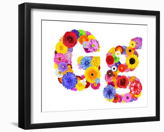 Flower Alphabet Isolated On White - Letter G-tr3gi-Framed Art Print