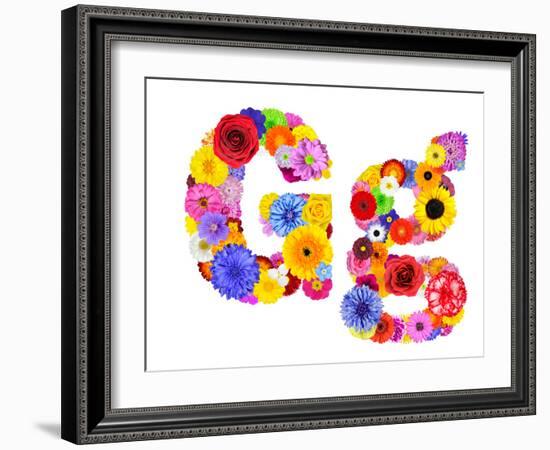 Flower Alphabet Isolated On White - Letter G-tr3gi-Framed Art Print