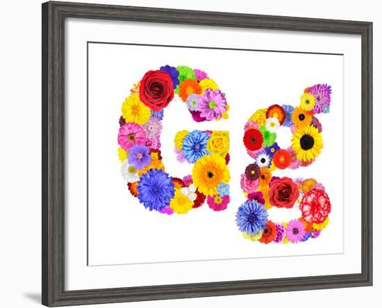 Flower Alphabet Isolated On White - Letter G-tr3gi-Framed Art Print