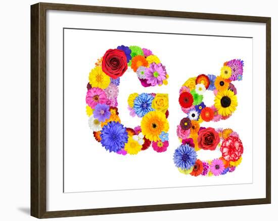 Flower Alphabet Isolated On White - Letter G-tr3gi-Framed Art Print