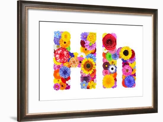 Flower Alphabet Isolated On White - Letter H-tr3gi-Framed Art Print