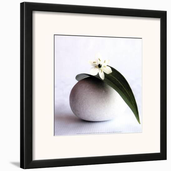 Flower and Pebble-Amelie Vuillon-Framed Art Print