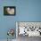 Flower and Spider-Gordon Semmens-Framed Premier Image Canvas displayed on a wall