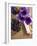 Flower, Anemone, Blossom, Grapes, Newspaper-Nikky Maier-Framed Photographic Print