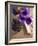 Flower, Anemone, Blossom, Grapes, Newspaper-Nikky Maier-Framed Photographic Print