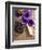 Flower, Anemone, Blossom, Grapes, Newspaper-Nikky Maier-Framed Photographic Print