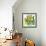 Flower Applique II-Laure Girardin-Vissian-Framed Giclee Print displayed on a wall