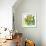 Flower Applique II-Laure Girardin-Vissian-Framed Giclee Print displayed on a wall
