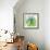 Flower Applique III-Laure Girardin-Vissian-Framed Giclee Print displayed on a wall