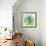 Flower Applique III-Laure Girardin-Vissian-Framed Giclee Print displayed on a wall