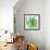 Flower Applique III-Laure Girardin-Vissian-Framed Giclee Print displayed on a wall