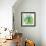 Flower Applique III-Laure Girardin-Vissian-Framed Giclee Print displayed on a wall