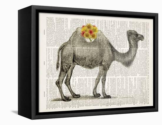 Flower Back Camel-Christopher James-Framed Stretched Canvas