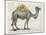 Flower Back Camel-Christopher James-Mounted Art Print