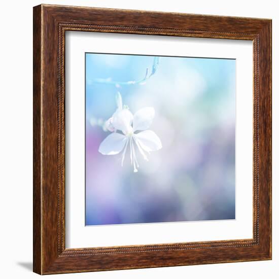 Flower Background-Timofeeva Maria-Framed Art Print