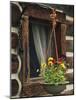 Flower Basket Outside Window of Log Cabin, Fort Boonesborough, Kentucky, USA-Dennis Flaherty-Mounted Photographic Print