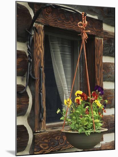 Flower Basket Outside Window of Log Cabin, Fort Boonesborough, Kentucky, USA-Dennis Flaherty-Mounted Photographic Print