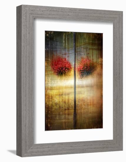 Flower Baskets 1-Ursula Abresch-Framed Photographic Print