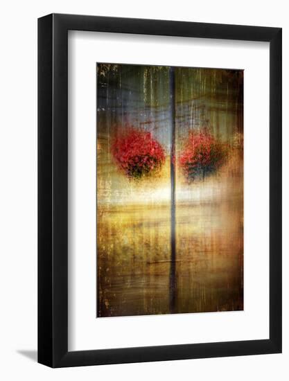 Flower Baskets 1-Ursula Abresch-Framed Photographic Print