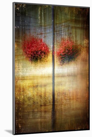 Flower Baskets 1-Ursula Abresch-Mounted Photographic Print