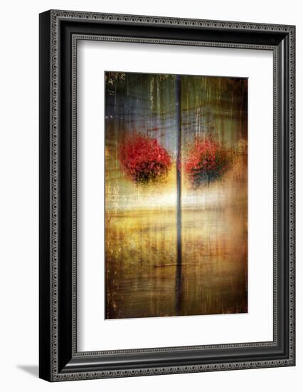 Flower Baskets 1-Ursula Abresch-Framed Photographic Print