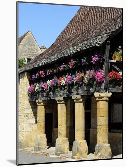 Flower Bedecked Medieval Les Halle, Bastide Town of Domme, One of Les Plus Beaux Villages De France-Peter Richardson-Mounted Photographic Print