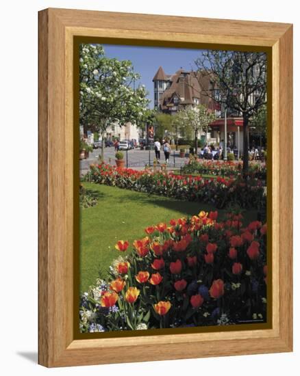 Flower Beds with Tulips in Town Centre, Deauville, Calvados, Normandy, France-David Hughes-Framed Premier Image Canvas