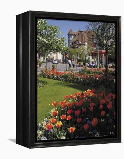 Flower Beds with Tulips in Town Centre, Deauville, Calvados, Normandy, France-David Hughes-Framed Premier Image Canvas